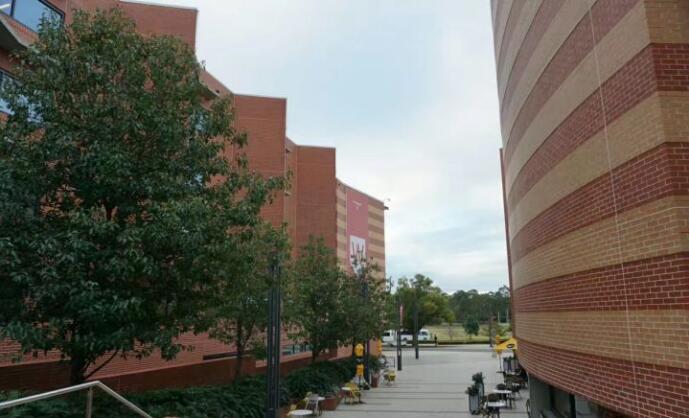 昆士兰大学翻译硕士案例分享